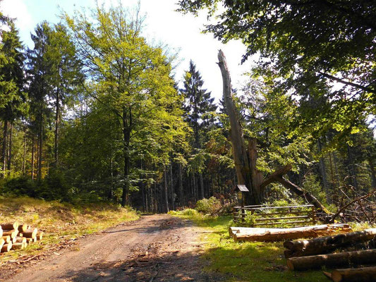 An der ehemaligen Jungferntanne