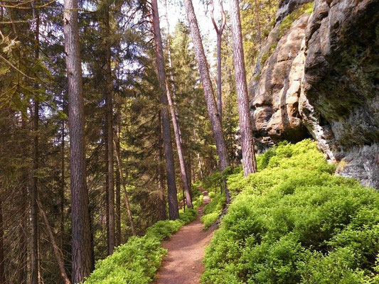 Am Wanderweg oberhalb vom Kerbensteig Teil 3