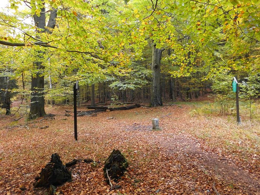 Östlich vom Großen Winterberg am Grenzstein 10/5 