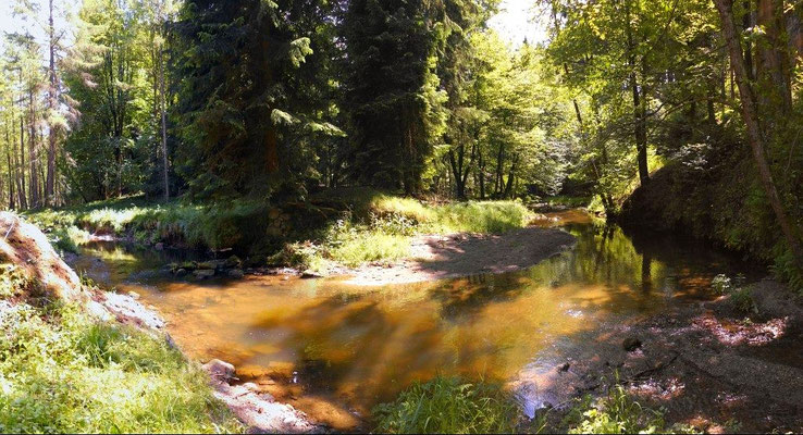 Ehemalige Brücke zur Böhmischen Mühle