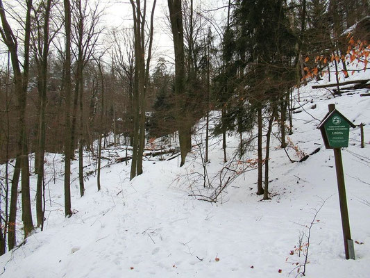 An der Grenze