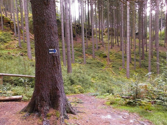 Unterhalb von Käs und Brot. Hier biegt der blau markierte Wanderweg scharf nach rechts ab in Richtung Rotes Floß (und Schwarzes Tor)