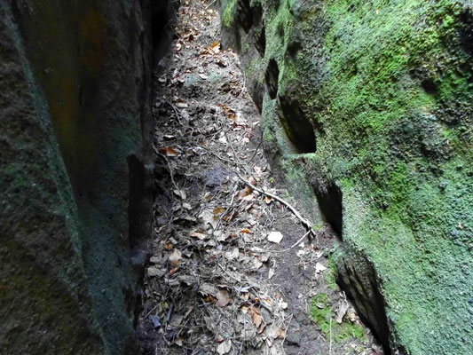 Balkenfalze der ehemaligen Stiege zur Bärenhöhle. Mit etwas Klettergeschick kann man auch heute noch in den Löchern hochklettern