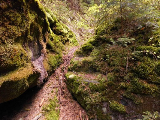 Steinerne Stufen im unteren Teil der Schlucht