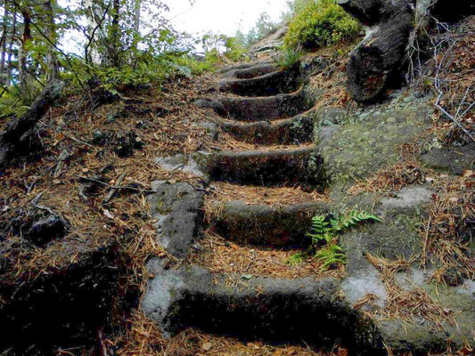 Alte Treppe vom Tannigtsteig