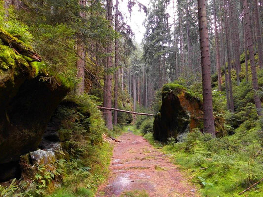 Im Tal des roten Floßes