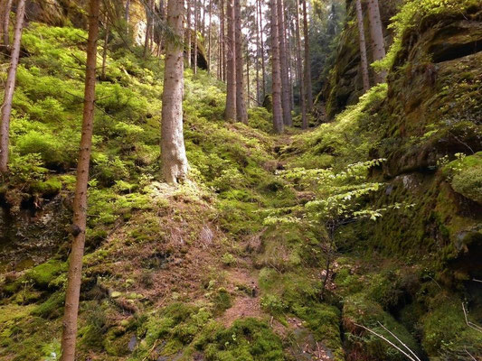 30 Meter vor dem Schwarzen Tor führte die Route in dieser Schlucht hoch.