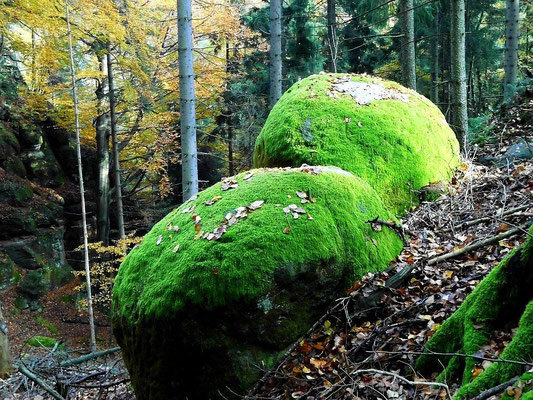 Einsames Tal