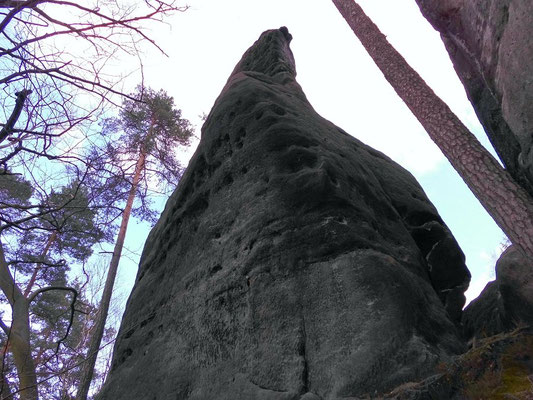 Der Auerhahn neben dem Kampfturm