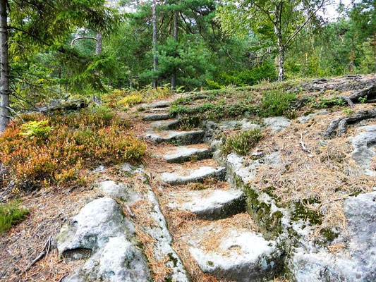 Alte Treppe vom Tannigtsteig