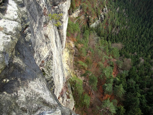 Blick zum 70 Meter tiefer gelegenen Gabrielensteig