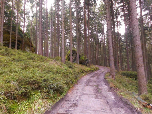 Blau markierter Wanderweg