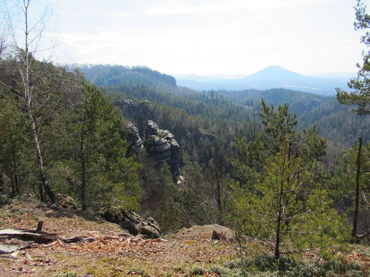 Blick zum Rosenberg und Zeichengrundturm