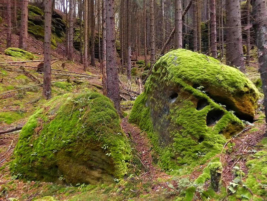 Unterhalb der Falkenwände