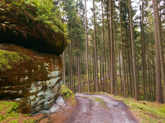 Blau markierter Wanderweg