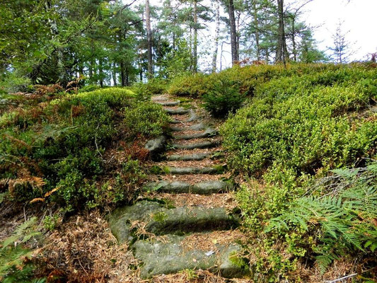 Alte Treppe vom Tannigtsteig hinter der Balzhütte 
