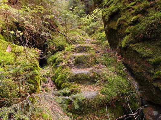 Steinerne Stufen im unteren Teil der Schlucht