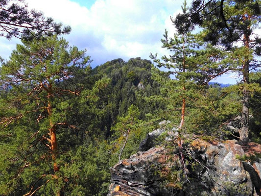 Rosengarten Westseite, Blick zum Wespenberg