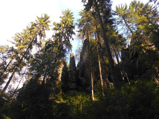 Im unteren Teil des Brückengrundes