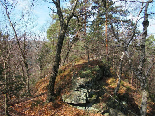 Auf dem Langen Horn