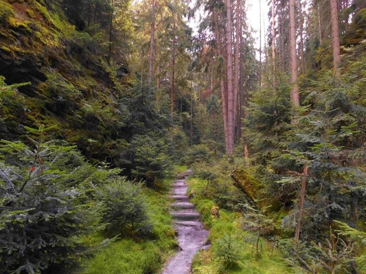 Mittlerer Teil des Brückengrundes