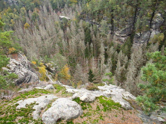 Blick von oben in die Schwarzschlüchte