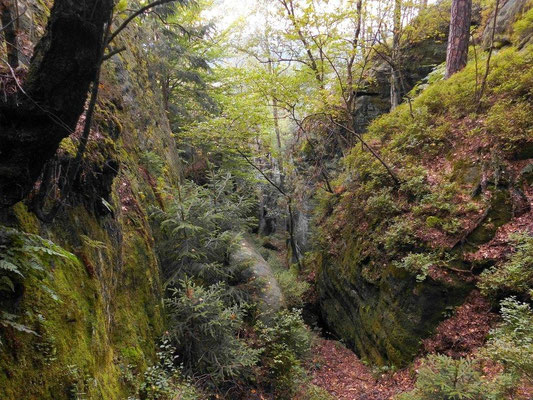 JP - Schlucht, rechts unten an der grünen Felswand die Jahreszahl 1898 und "JP", gegenüber nochmal "JP".