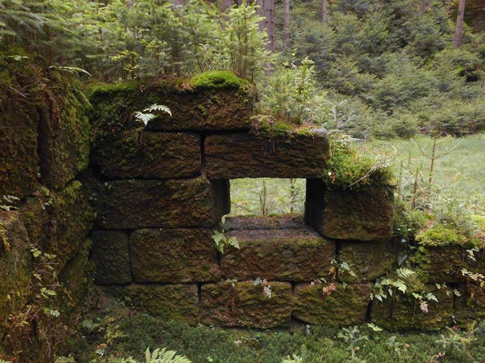 Ruine im Pohligsgrund