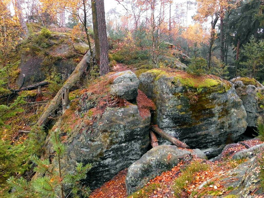 Nördlicher Teil vom Tannigtsteig in Richtung Tannigt. Hier ging früher eine Brücke rüber