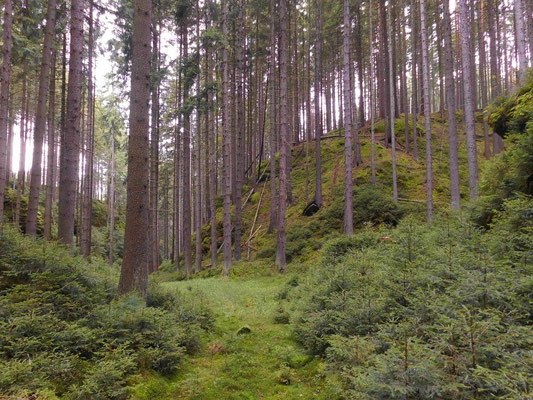 Abstecher zum Pohligsgrund, unmarkiertes Seitental