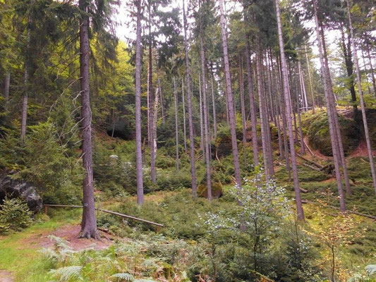 Blau markierter Wanderweg unterhalb von Käs und Brot