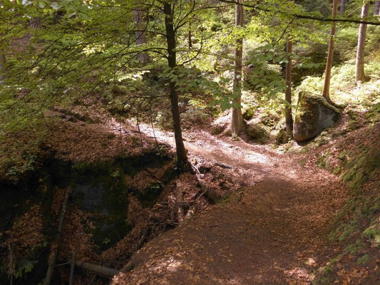 Wegkurve mit Abzweig links runter zum Kerbensteig und ehemaliger Schönlinder Brücke