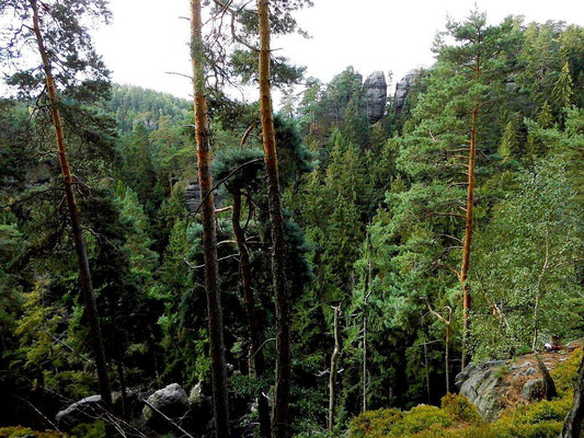 Blick zum Rosengartenturm