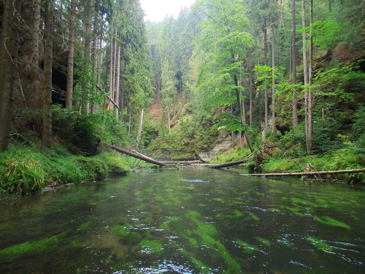 1. Bachdurchquerung