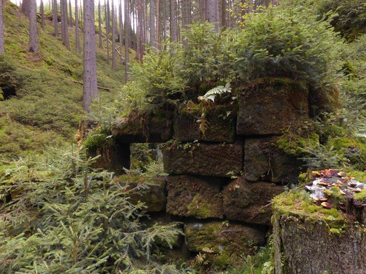 Ruine im Pohligsgrund