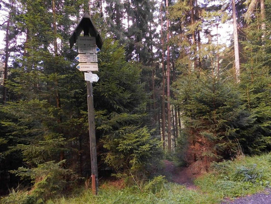 Hier trifft der kurze Anstieg von der Niedermühle auf den blau markierten Wanderweg