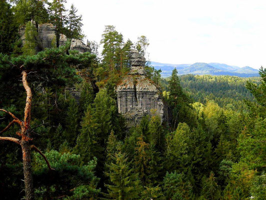 Blick zum Rosengartenkopf