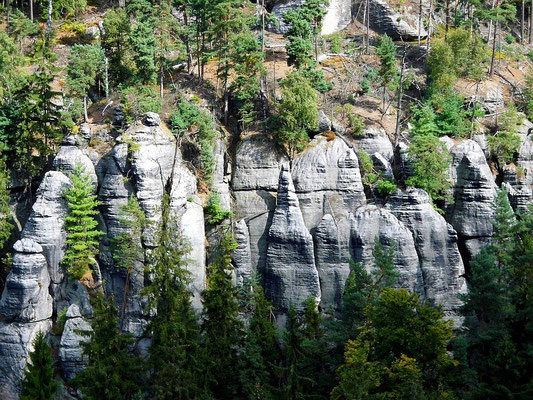 Aussicht von der Rosengartenbastei in Richtung Norden auf die Burg/Hrad
