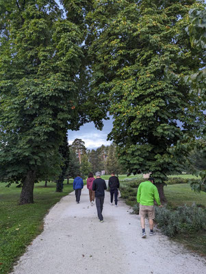 Füsse vertreten in Gödöllö