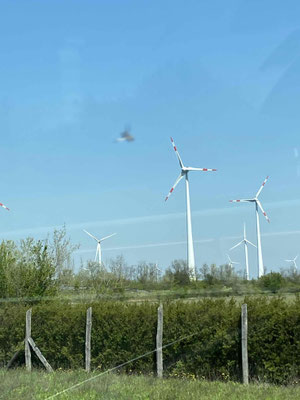 Die Windparks unterwegs sind jedes Mal wieder eindrücklich.