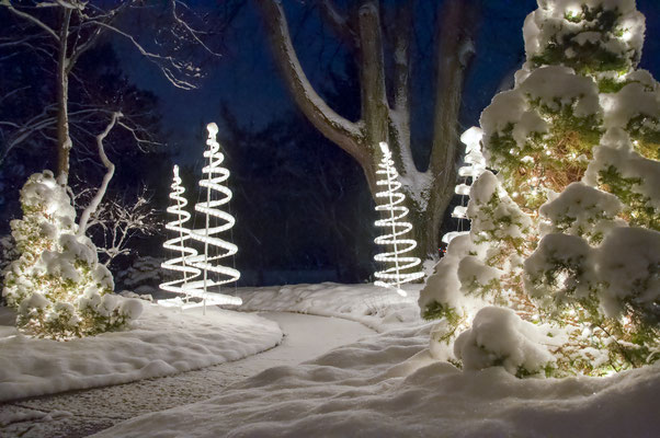 Still December night