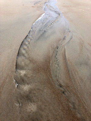 Composition in sand and lake water