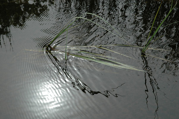 Wind is present