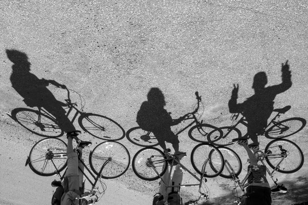 Morning Bicycle Shadows