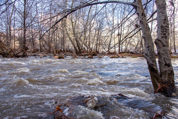 Sedona flood waters