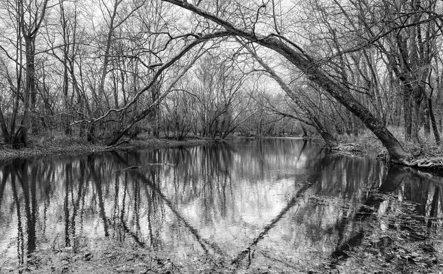 Big Darby reflections