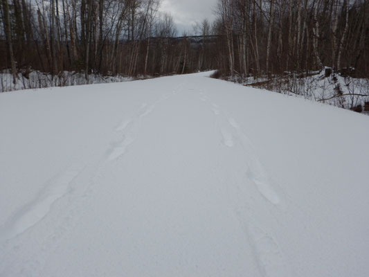 unsere Spuren im Schnee 