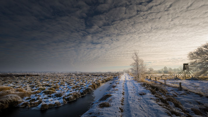 Recker Moor_Januar 2017   All images: © Klaus Heuermann