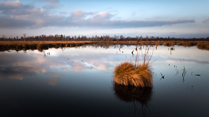 Venner Moor  -   All images: © Klaus Heuermann  -