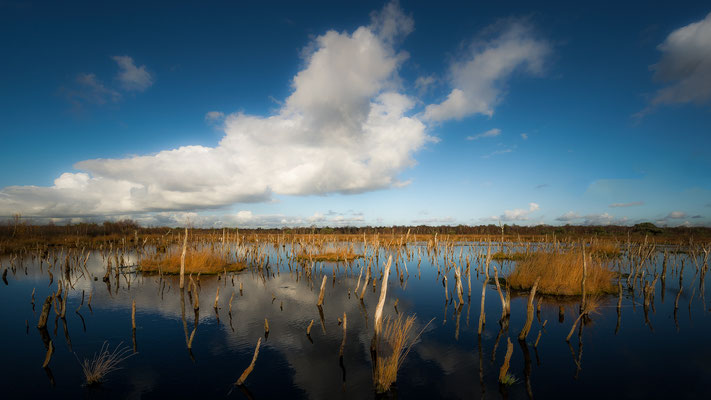 Reeker Moor  -   All images: © Klaus Heuermann  -